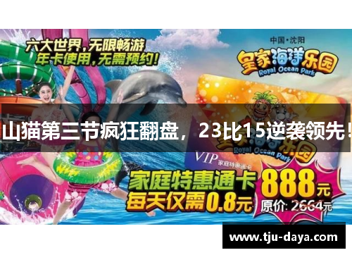 山猫第三节疯狂翻盘，23比15逆袭领先！